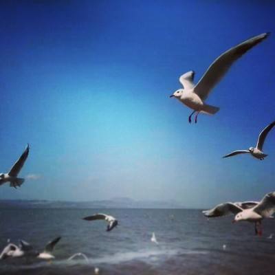 拳无双公测版下载