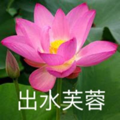 灵将风云正式版下载